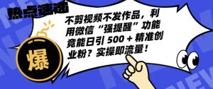 不剪视频不发作品,视频号私信日引 500 + 精准创业粉?实操即流量!-创业资源网