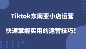 Tiktok东南亚地区小商店经营,快速上手好用的运营方法!-创业资源网