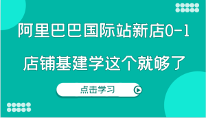 阿里巴巴国际站新店0-1,个人实践实操录制从0-1基建,店铺基建学这个就够了-创业资源网