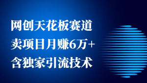 网创天花板赛道,卖项目月赚6万+,含独家引流技术-创业资源网
