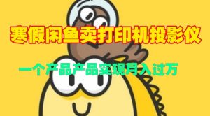 寒假闲鱼卖打印机、投影仪，一个产品产品实现月入过W-创业资源网