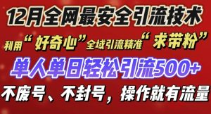 12 月份全网最安全引流创业粉技术来袭,不封号不废号,有操作就有流量【揭秘】-创业资源网
