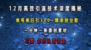 最新高效引流技术深度揭秘 ，单号单日引300+精准创业粉，一分钟一条原创素材，引爆你的私域流量-创业资源网