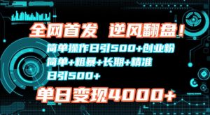 全网首发,简单操作日引500+创业粉,简单+粗暴+长期+精准-创业资源网