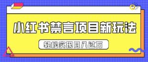 小红书禁言项目新玩法,推广新思路大大提升出单率,轻松实现月入过W-创业资源网
