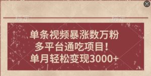 一条作品涨万粉，轻松上手，单月简单变现3000+-创业资源网