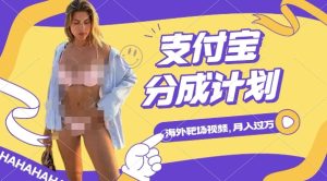 利用海外靶场射击视频,挣支付宝分成收益,轻松月入过W【揭秘】-创业资源网