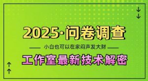 2025问卷调查最新工作室技术解密:一个人在家也可以闷声发大财,小白一天2张,可矩阵放大【揭秘】-创业资源网