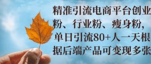 小投资撬动大收益,精准引流创业粉、行业粉,单日引流80+,一天可变现多张-创业资源网