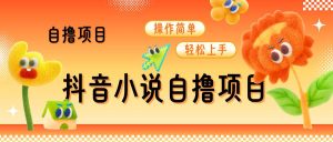 抖音小说自撸项目,操作简单轻松上手-创业资源网
