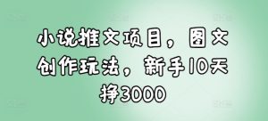 小说推文项目，图文创作玩法，新手10天挣3000-创业资源网
