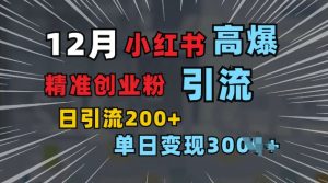 小红书一张图片“引爆”创业粉,单日+200+精准创业粉 可筛选付费意识创业粉【揭秘】-创业资源网