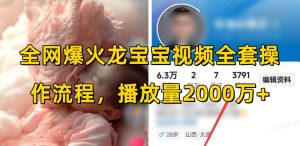 全网爆火龙宝宝视频全套操作流程,播放量2000万+-创业资源网