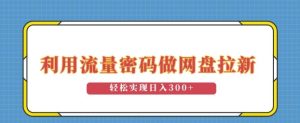 利用流量密码做网盘拉新,操作简单适合0基础小白,轻松实现日入3张-创业资源网