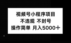 视频号小程序项目,不违规不封号,操作简单 月入5000+-创业资源网