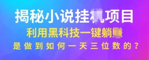 揭秘小说项目,利用黑科技一键躺Z模式,是如何做到一天三位数的-创业资源网