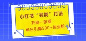 小红书“另类”打法,开局一张图,单日引爆500+精准创业粉【揭秘】-创业资源网