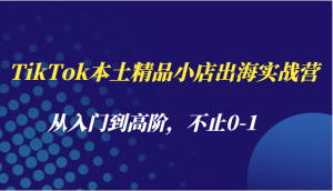 TikTok本土精品小店出海实战营，从入门到高阶，不止0-1-创业资源网
