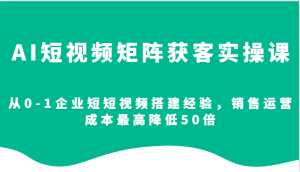 AI短视频矩阵获客实操课，从0-1企业短短视频搭建经验，销售运营成本最高降低50倍-创业资源网