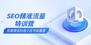 SEO精准流量特训营，百度微信抖音小红书全覆盖，带你搞懂搜索优化核心技巧-创业资源网
