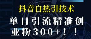 抖音自热引流,单日引流精准创业粉300+-创业资源网