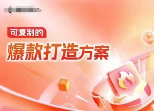 天猫电商爆款运营,可复制的爆款打造方案(线下内训课录音+字幕)-创业资源网