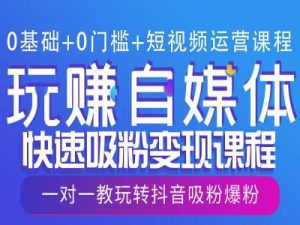 0基础+0门槛+短视频运营课程,玩赚自媒体快速吸粉变现课程,一对一教玩转抖音吸粉爆粉-创业资源网
