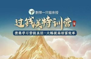 剽悍一只猫-过钱关特训营,学习营销真经 大幅度提高创富效率-创业资源网