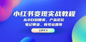 小红书变现实战教程：从小白到精英，产品定价，笔记带货，账号运营等-创业资源网
