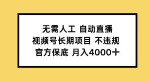 无需人工自动直播,视频号长期项目不违规,官方保底月入4000左右-创业资源网