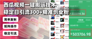 西瓜视频一键搬运技术,稳定日引流300+精准创业粉,简单可复制给团队,...-创业资源网