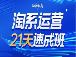 淘系运营21天速成班35期,年前最后一波和2025方向-创业资源网