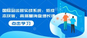 国际站运营实战系统:低成本获客,高质量询盘增长课-创业资源网