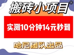 搬砖小项目,实测10分钟14元秒到,每天稳定几张(赠送必看稳定)-创业资源网