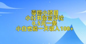 零撸小项目，小红书留言评论，0.5元一条，小白也能一天收入100+-创业资源网