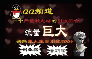 QQ最新引流方法,流量巨大,实操单日引流500+创业粉、兼职粉-创业资源网