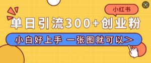 小红书单日引流300+创业粉,“简单粗暴”引流法,小白好上手,私信回不完-创业资源网