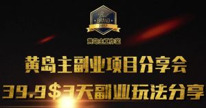 黄岛主副业分享会1期:3天3个副业玩法,速度上车-创业资源网