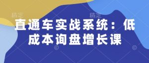 直通车实战系统:低成本询盘增长课,让个人通过技能实现升职加薪,让企业低成本获客,订单源源不断-创业资源网
