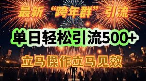 全新跨年夜群引流,单日轻轻松松引流方法500,立刻实际操作立马见效-创业资源网
