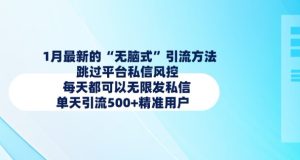 1月全新的无脑式推广方法,绕过服务平台私聊风险控制,每天都能无尽私信,单日引流方法500 精准客户-创业资源网