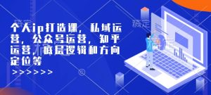 个人ip打造课，私域运营，公众号运营，知乎运营，底层逻辑和方向定位等-创业资源网