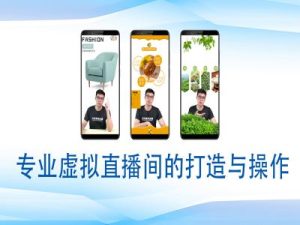 个人虚拟直播间的搭建与操作，专业虚拟直播间的打造与操作-创业资源网
