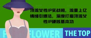 顶流女性IP实战班,流量上亿情绪引爆法,深度打磨顶流女性IP硬核基本功-创业资源网