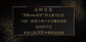 小红书的神奇图片引流法,仅需一张图,就可一条手记凭着这种方法,轻轻松松引流方法 300   精确自主创业粉-创业资源网