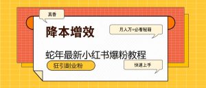 蛇年全新小红书的涨粉实例教程,狂引第二职业粉,月入万 必读-创业资源网