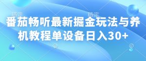 番茄畅听全新掘金队游戏玩法与养机实例教程单机器设备日入30-创业资源网