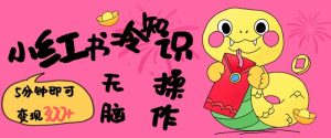 小红书的冷门知识账户,没脑子拷贝,5分钟左右转现3张-创业资源网
