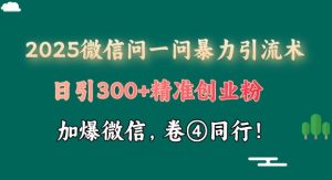 2025最新微信问一问暴力行为引流术揭密,日引300 自主创业粉,单日转现四位数-创业资源网