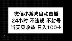 微信小程序全自动直播间,24h直播间不违规 防封号,当日见盈利 日入100-创业资源网